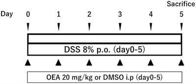 Oleoylethanolamide Ameliorates Dextran Sulfate Sodium-Induced Colitis in Rats